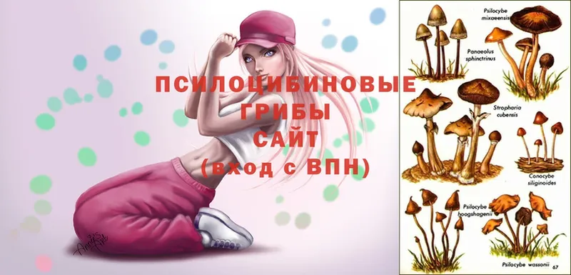 Галлюциногенные грибы MAGIC MUSHROOMS  MEGA   Буй  где найти наркотики 